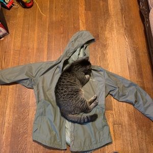 Forest green Columbia jacket size Large